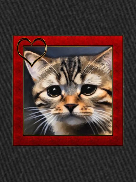 Portrait de chat 2
