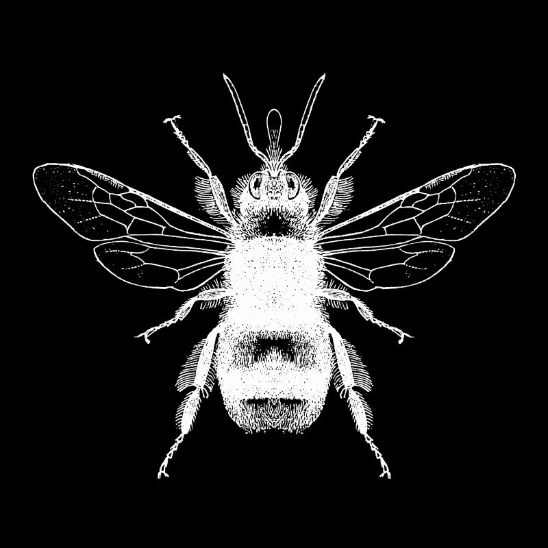 Bumblebee