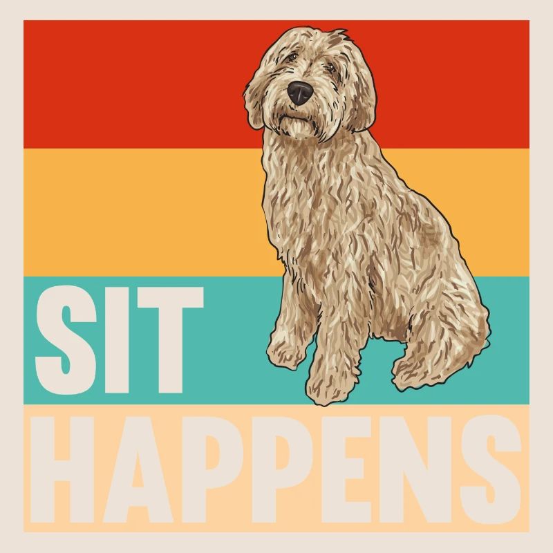 Labradoodle Hund