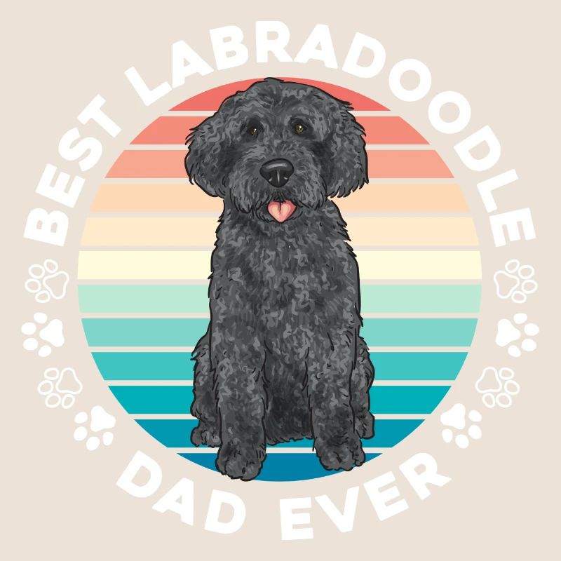 Labradoodle Hund
