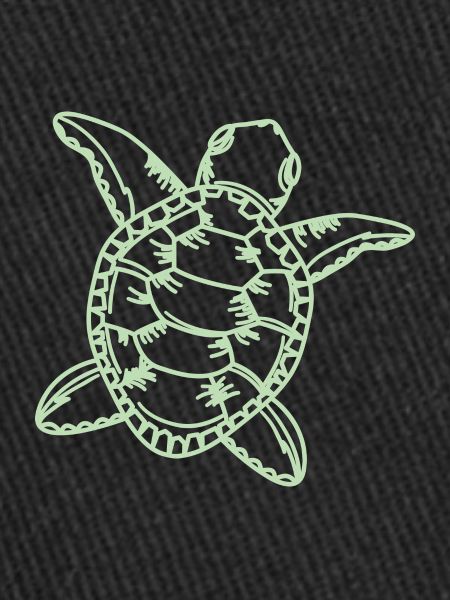 Tortoise