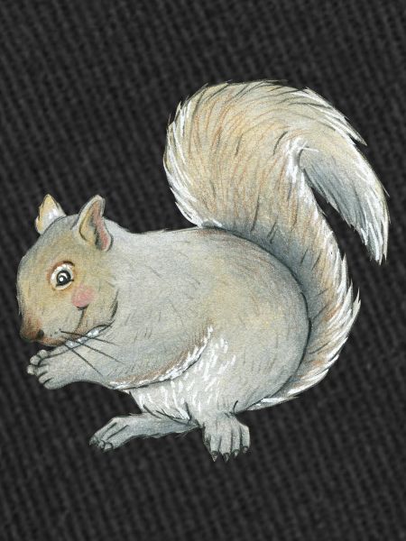 gray squirrel