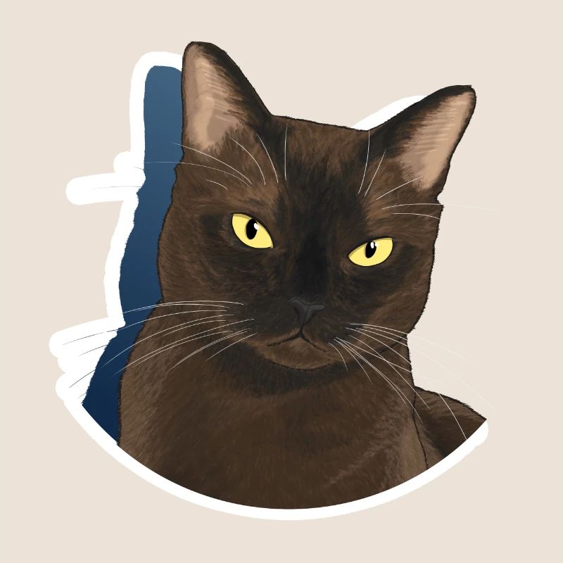 Chat burmese