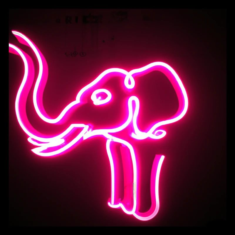 help_for_elephants_05