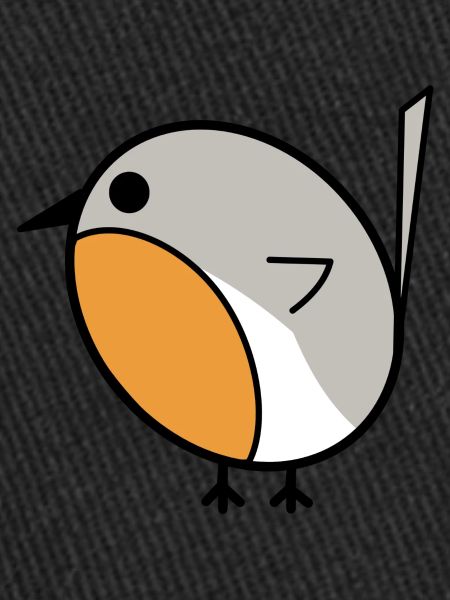 Cute little robin bird