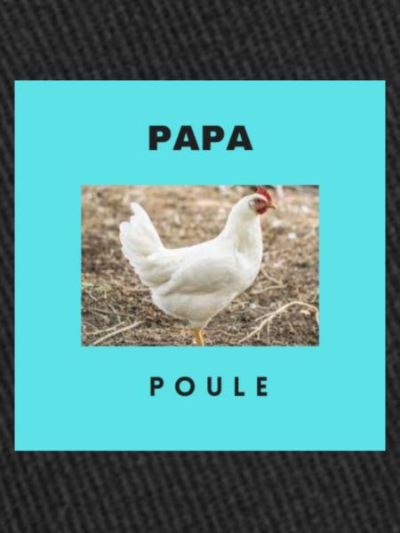 PAPA POULE