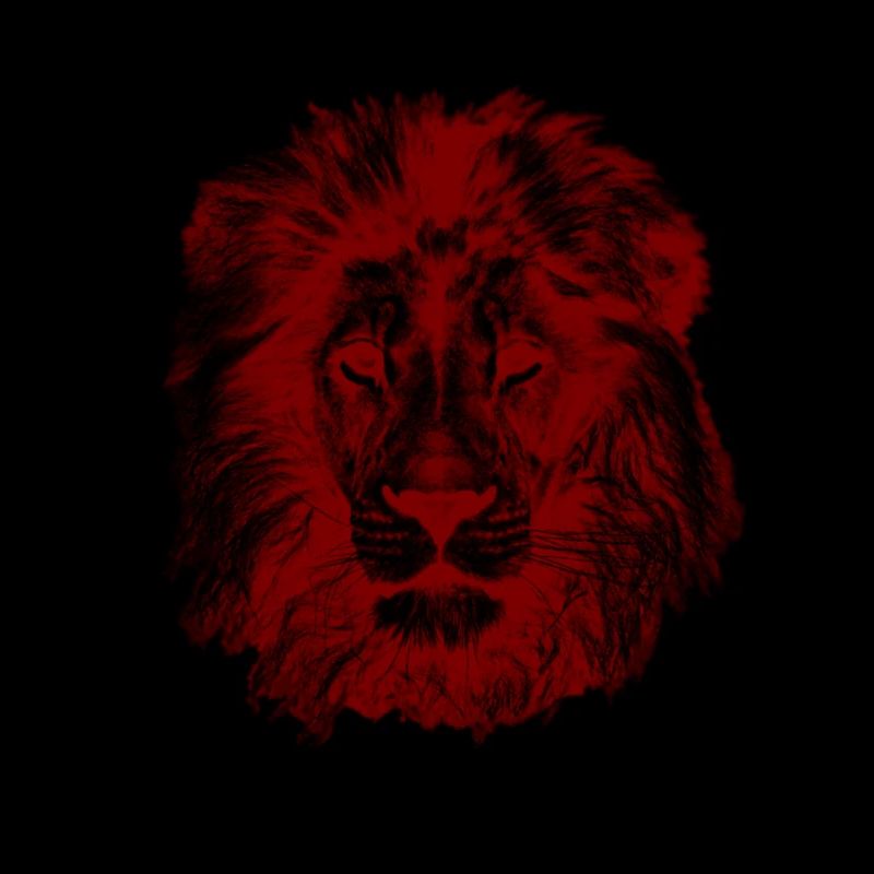 Lion Red