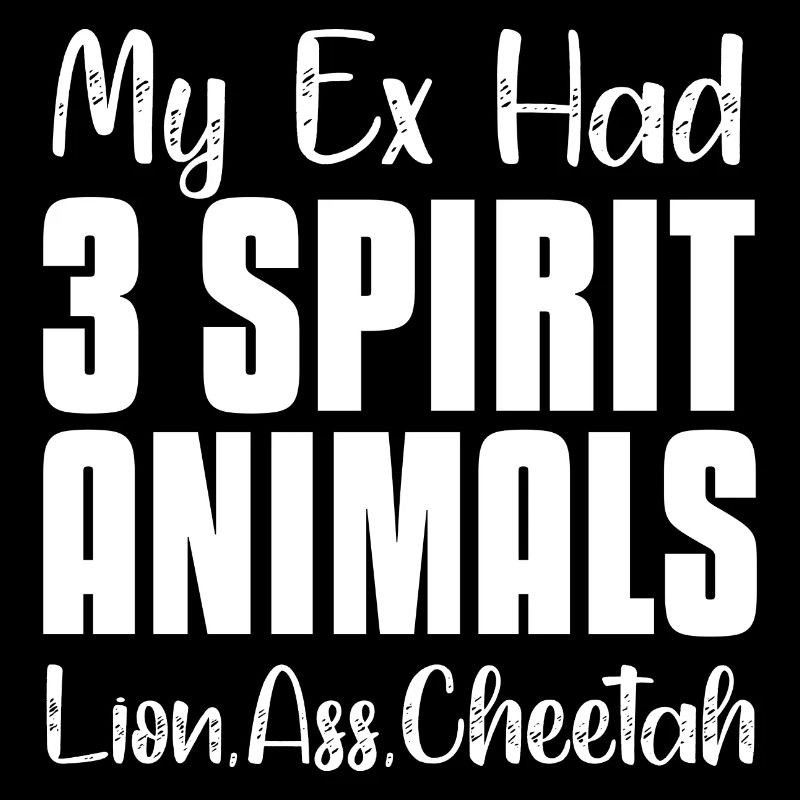 Mon ex avait 3 animaux spirituels Conception pour une ex blagues