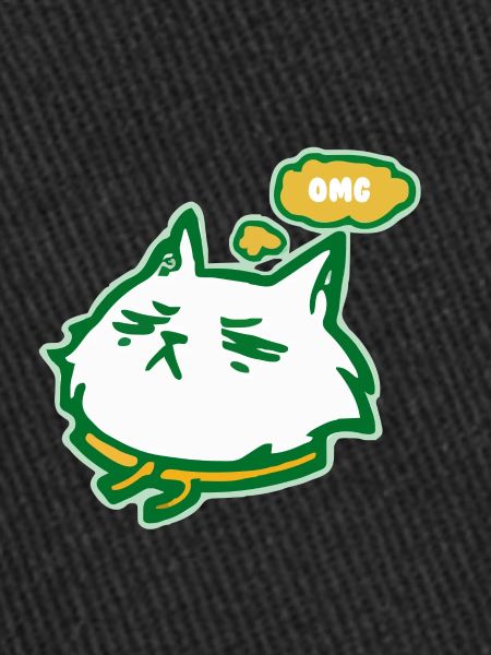 Le chat OMG