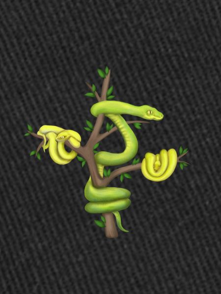Der Grüne Python - Baumpython