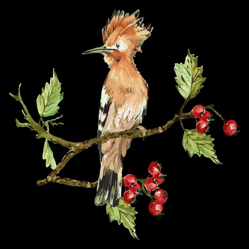 Oiseau coloré