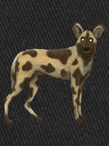 Wild Dog