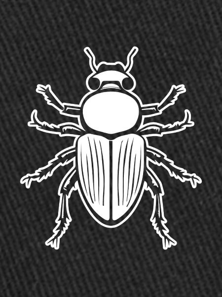 Insectes, bestioles, arthropodes