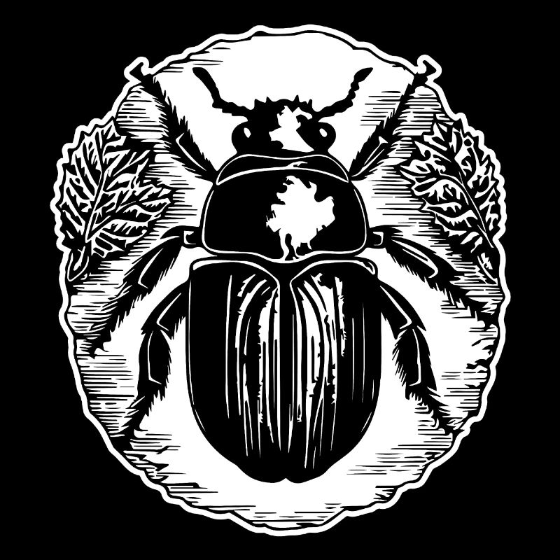 Insectes, bestioles, arthropodes