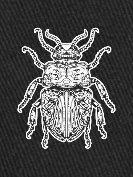 Insectes, bestioles, arthropodes