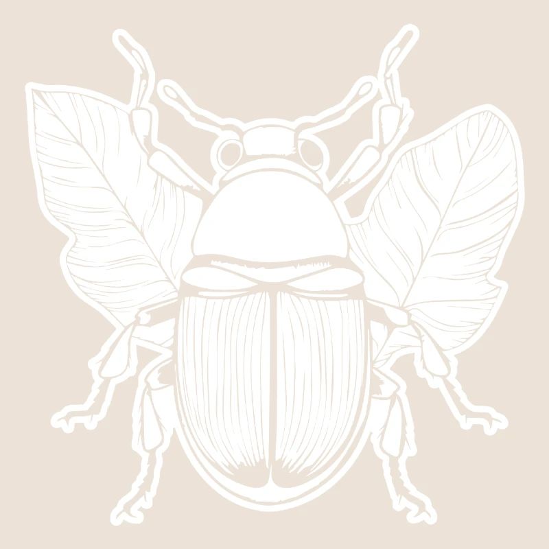 Insectes, bestioles, arthropodes