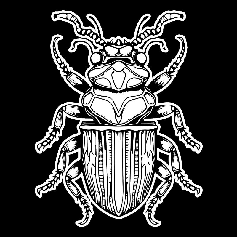 Insectes, bestioles, arthropodes