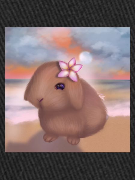 Lapin à la plage
