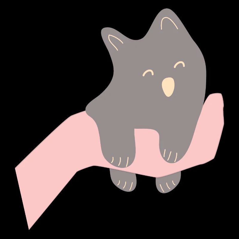Bébé chat entre des mains humaines2