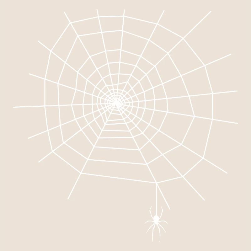 Spider Web Spider