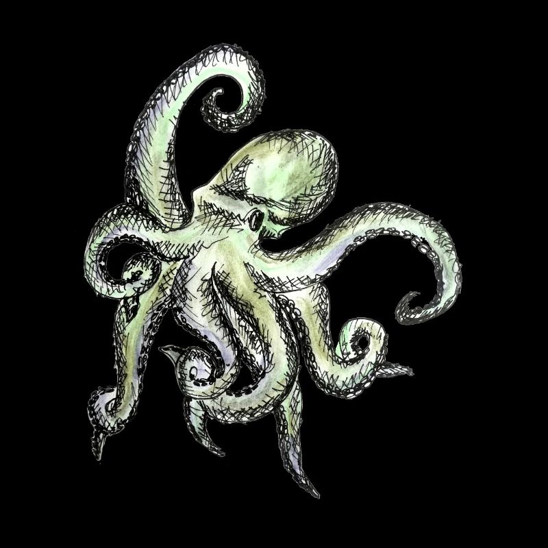 octopus