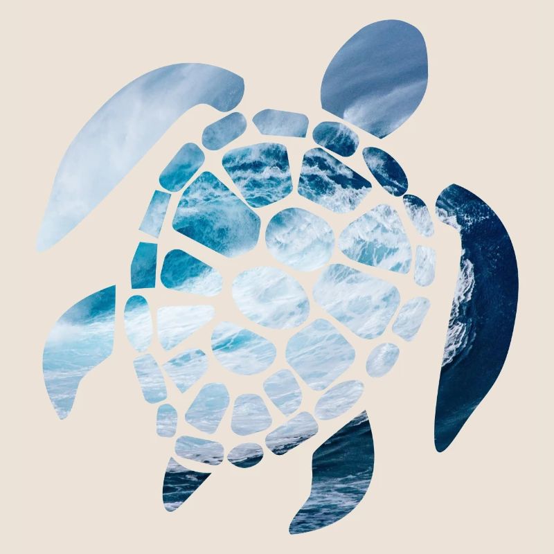 sea turtle