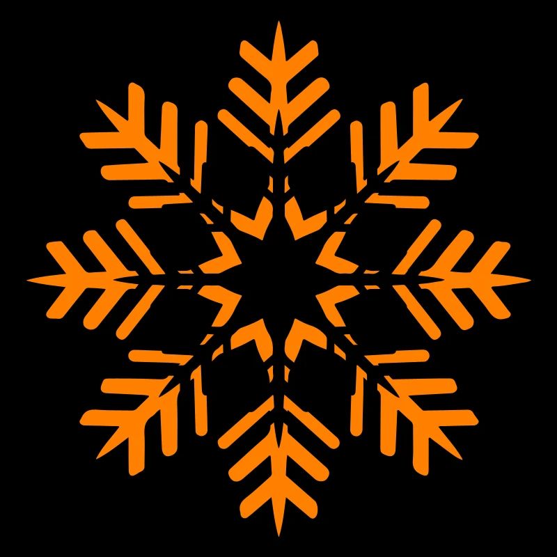 Symbole d’hiver flocon de neige