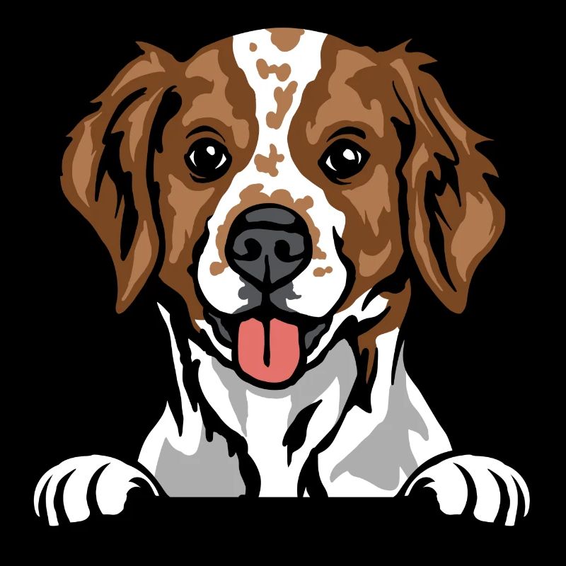 Brittany Spaniel