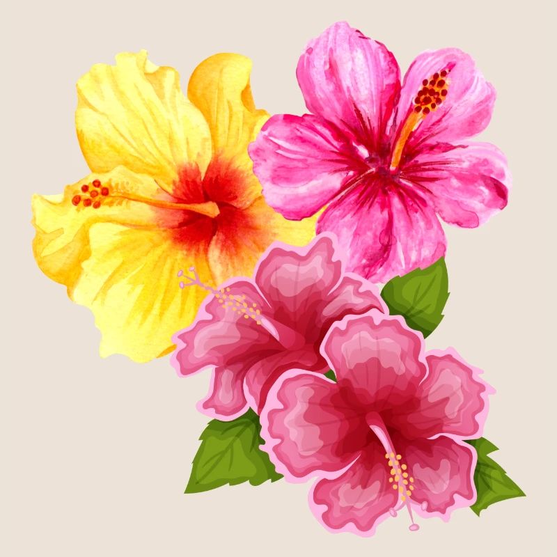 Hawaï Aloha Fleurs