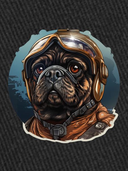 Pug Pilot