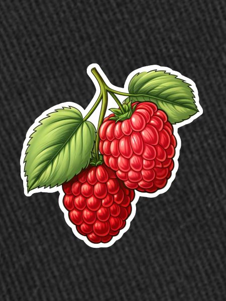Framboise sucrée et juteuse