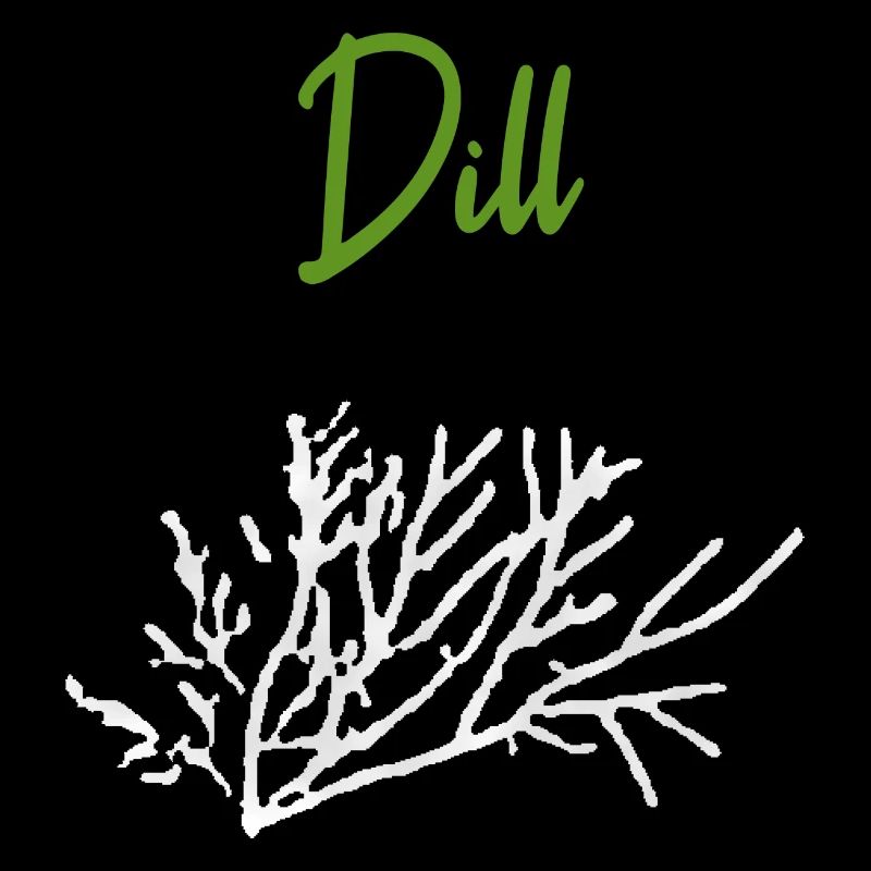 Dill Herbs
