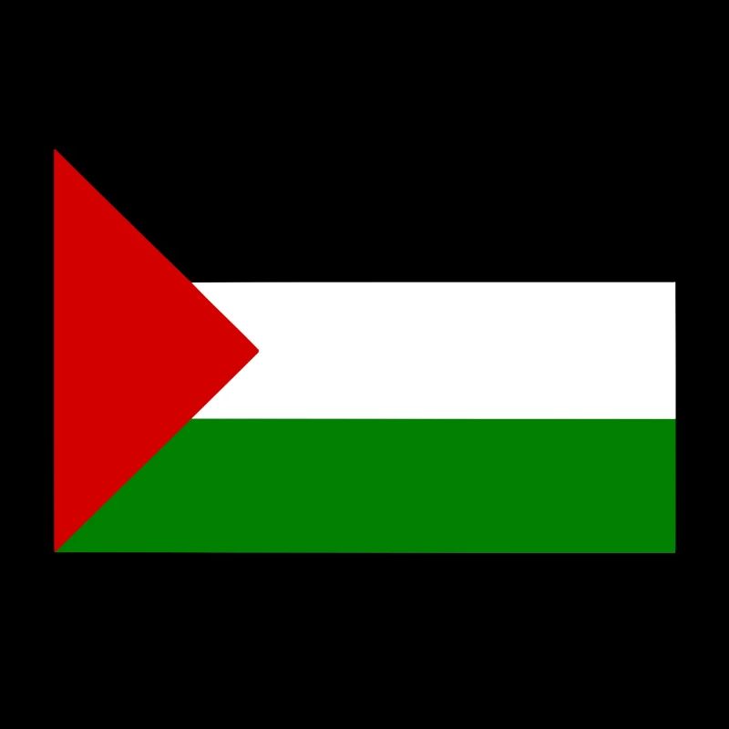 I stand with palestine