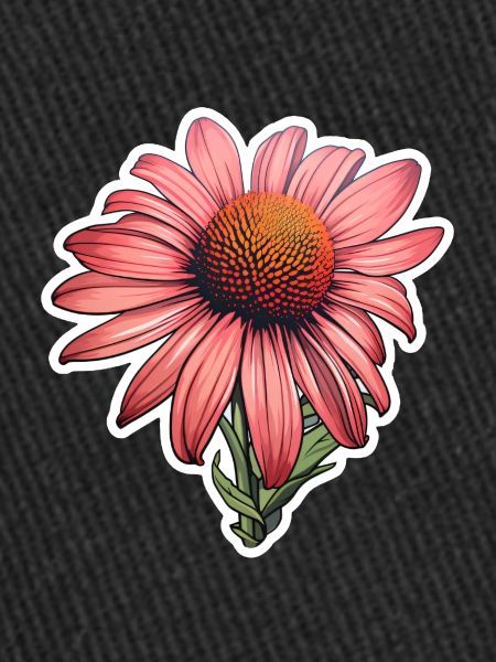 Echinacea flower
