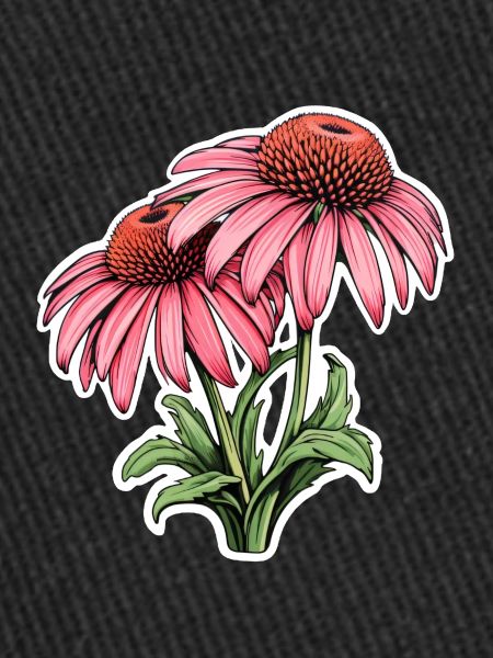 Échinacée 2 Fleurs
