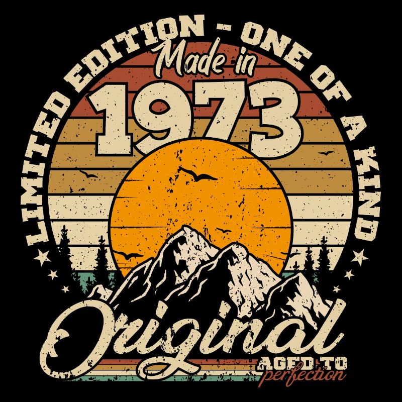 Made in 1973 Birthday Gift 1973 Retro 1973