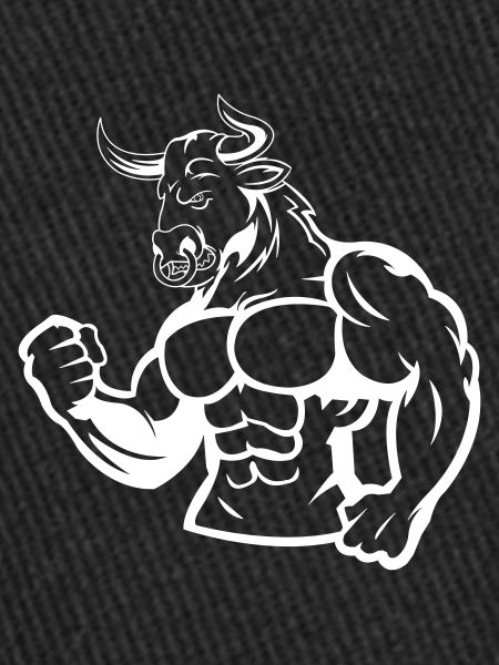 stier 1