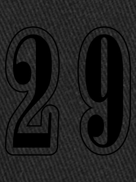 29 Symbole numérique