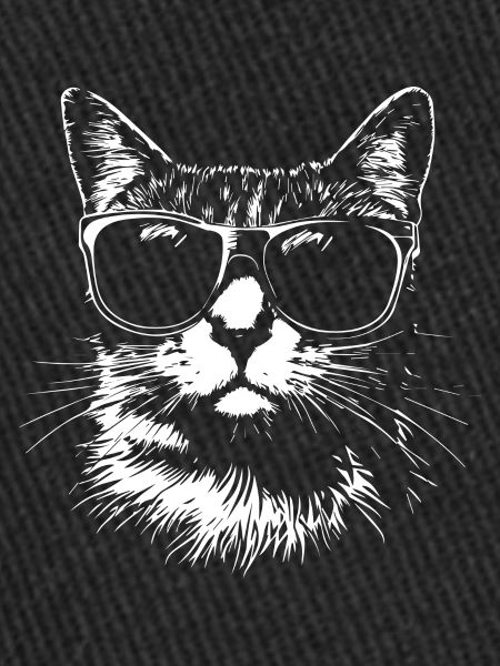 Funny Cat Sunglasses Summer