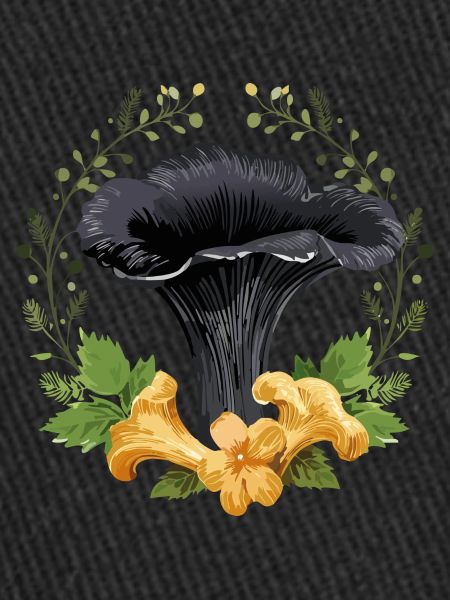 Champignon trompette noir