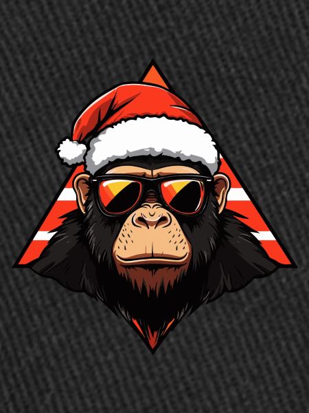 Singe Noël Cool