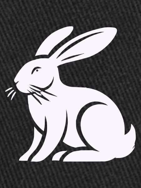hase kaninchen