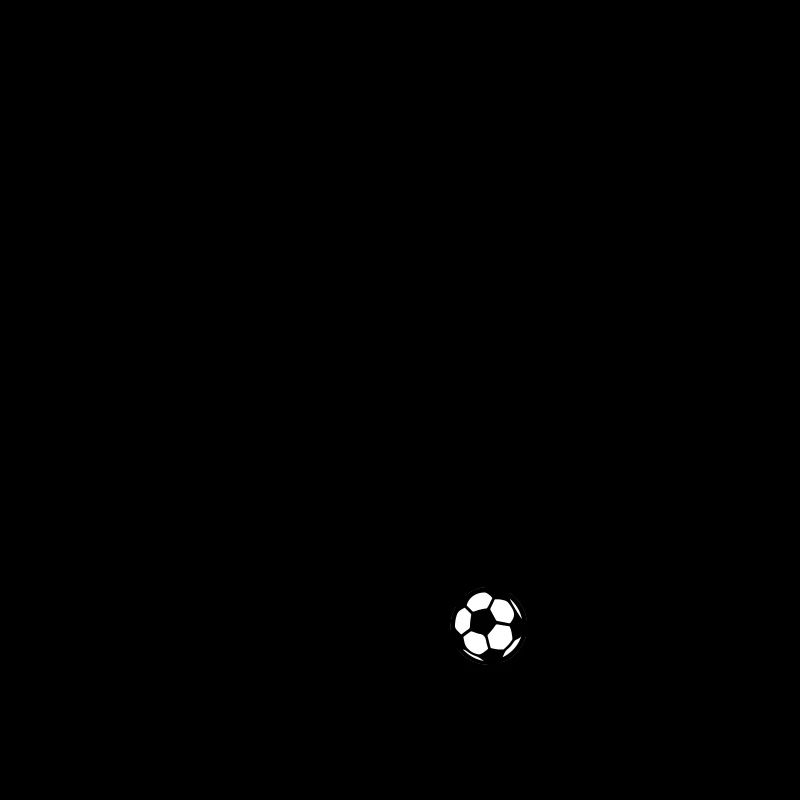 Fans de clubs de football