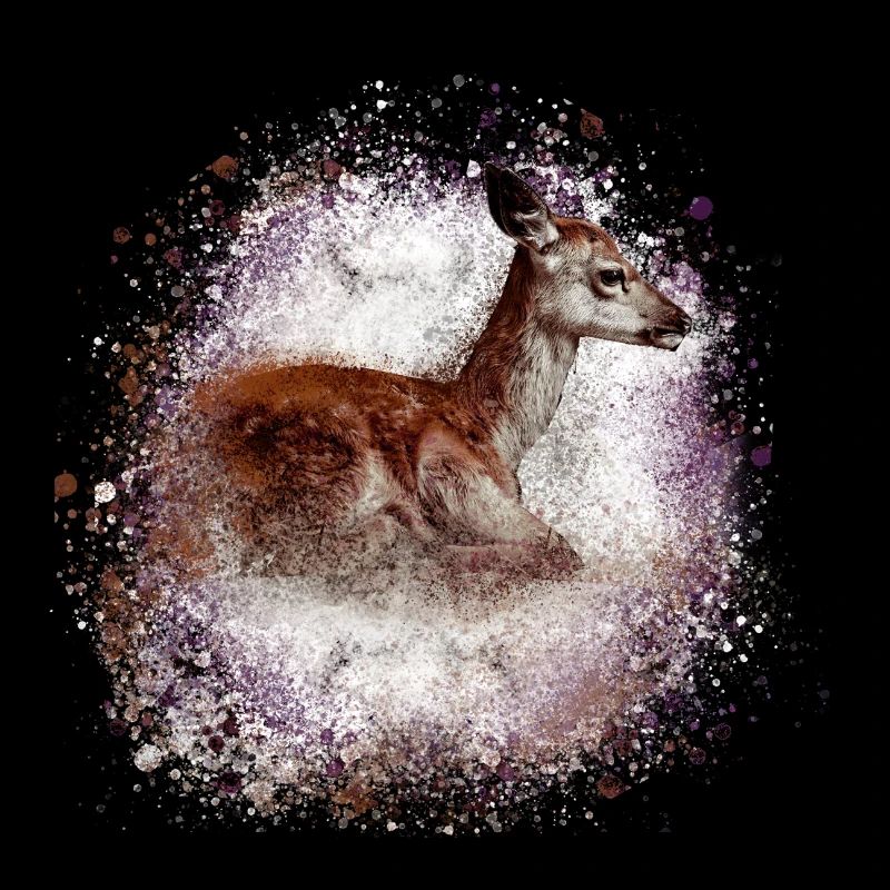 reh ,braun,wild,kitz,graffiti,bambi,rehkitz,fohlen