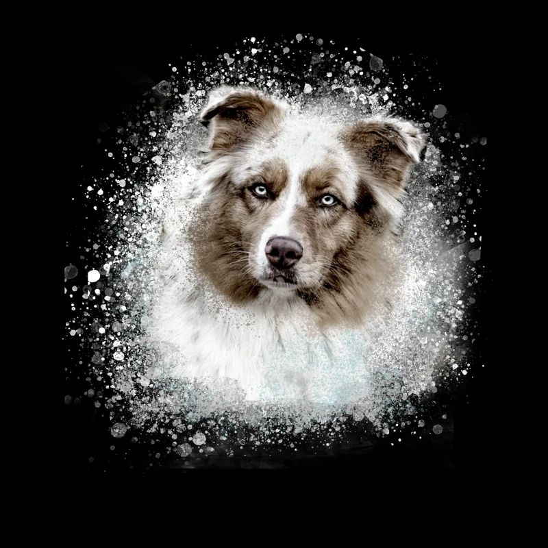 Australian shepherd, grey,graffiti, painting,dog