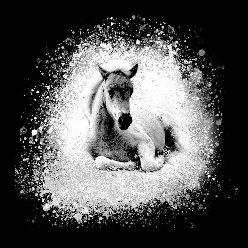 poney, rose, poulain, cheval, graffiti,peinture,gris