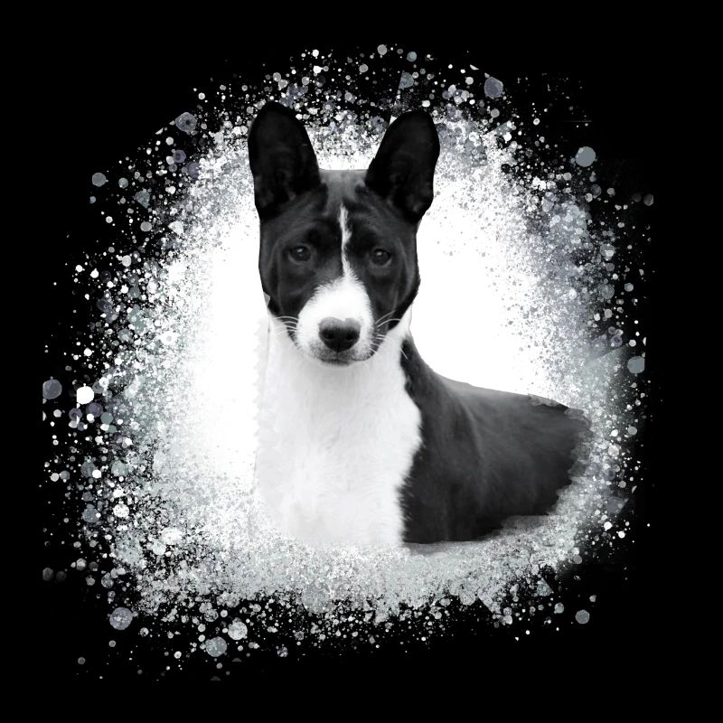 basenji,dog,graffiti,painting
