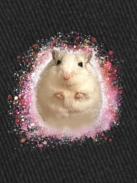 Jumping mouse,mouse,graffiti,painting,shrew