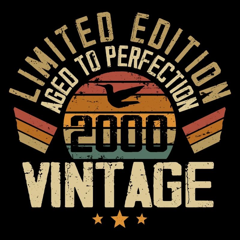 Vintage 2000 Retro 2000 Birthday Gift