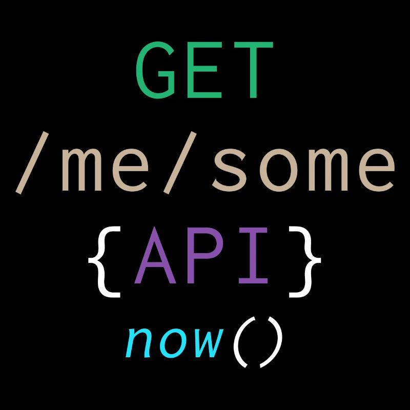 Api programming informatic gift saying